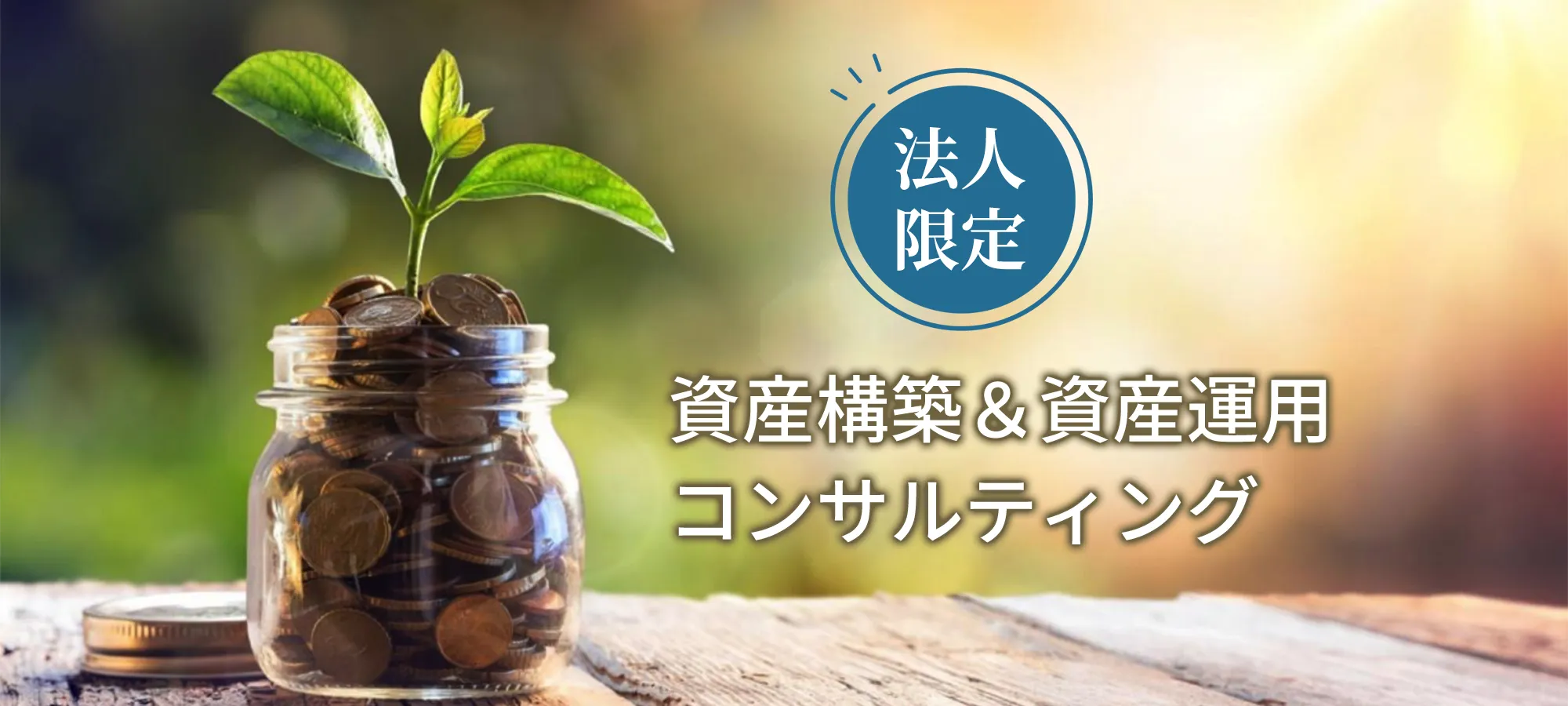 企業向け資産構築＆資産運用コンサルティング